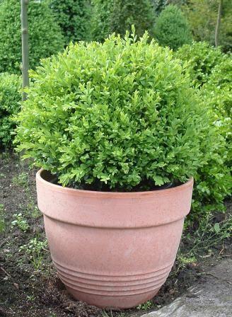 Nature glazen regenmeter op steel