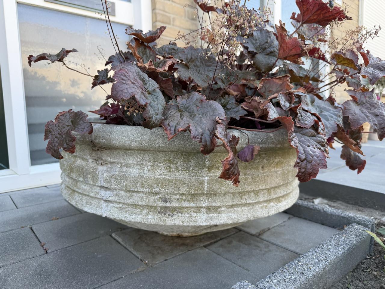 Vintage betonnen plantenschaal Ø 70 cm
