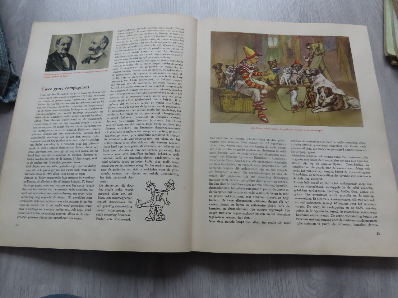 Plaatjesboek bonte droom van het circus