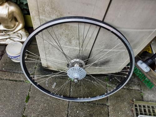 28 inch shimano achterwiel, 7 speed cassette, rollerbrake rem