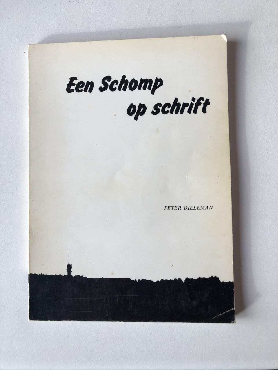 Zeeuws boekje van Peter Dieleman