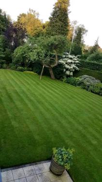 Tuinaanleg & Tuinonderhoud Reimerswaal