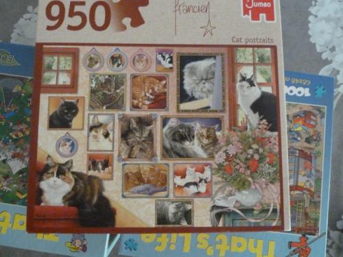 PUZZEL MET POEZEN