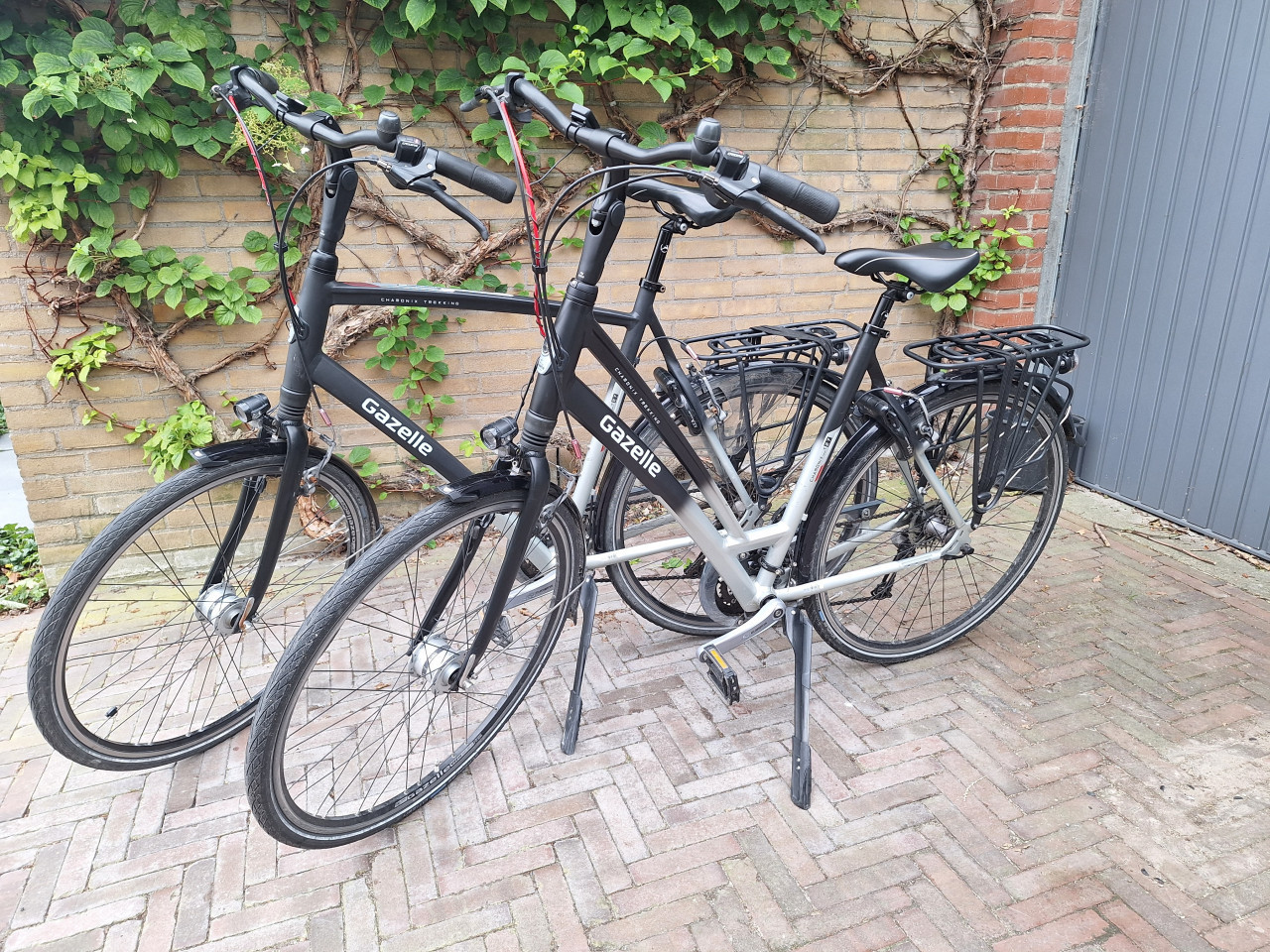 Gazelle Herenfiets Chamonix Trekking T27