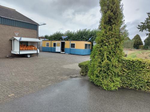 Pompoenen en kalebassen