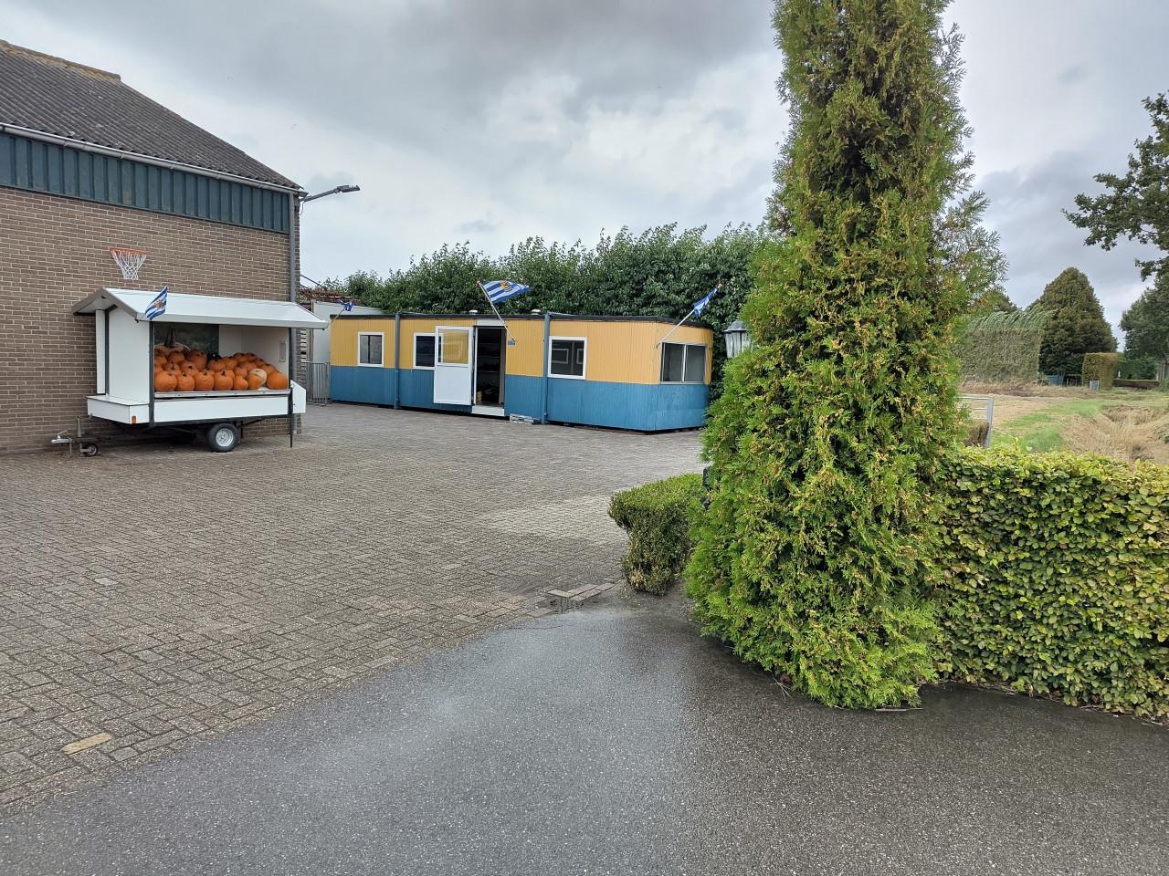 Pompoenen en kalebassen