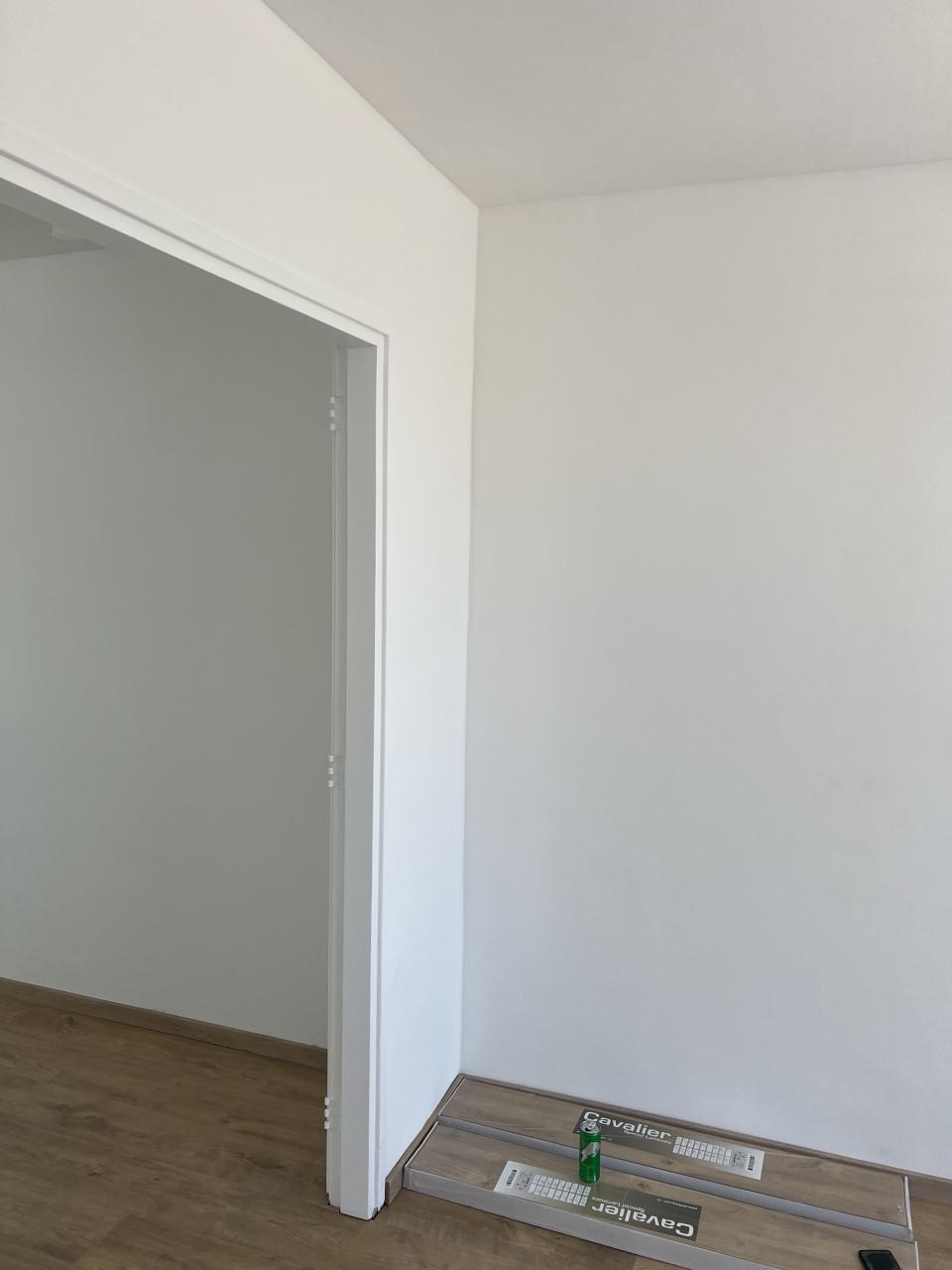 Professioneel Schilder en laminaat legger 06-42810770