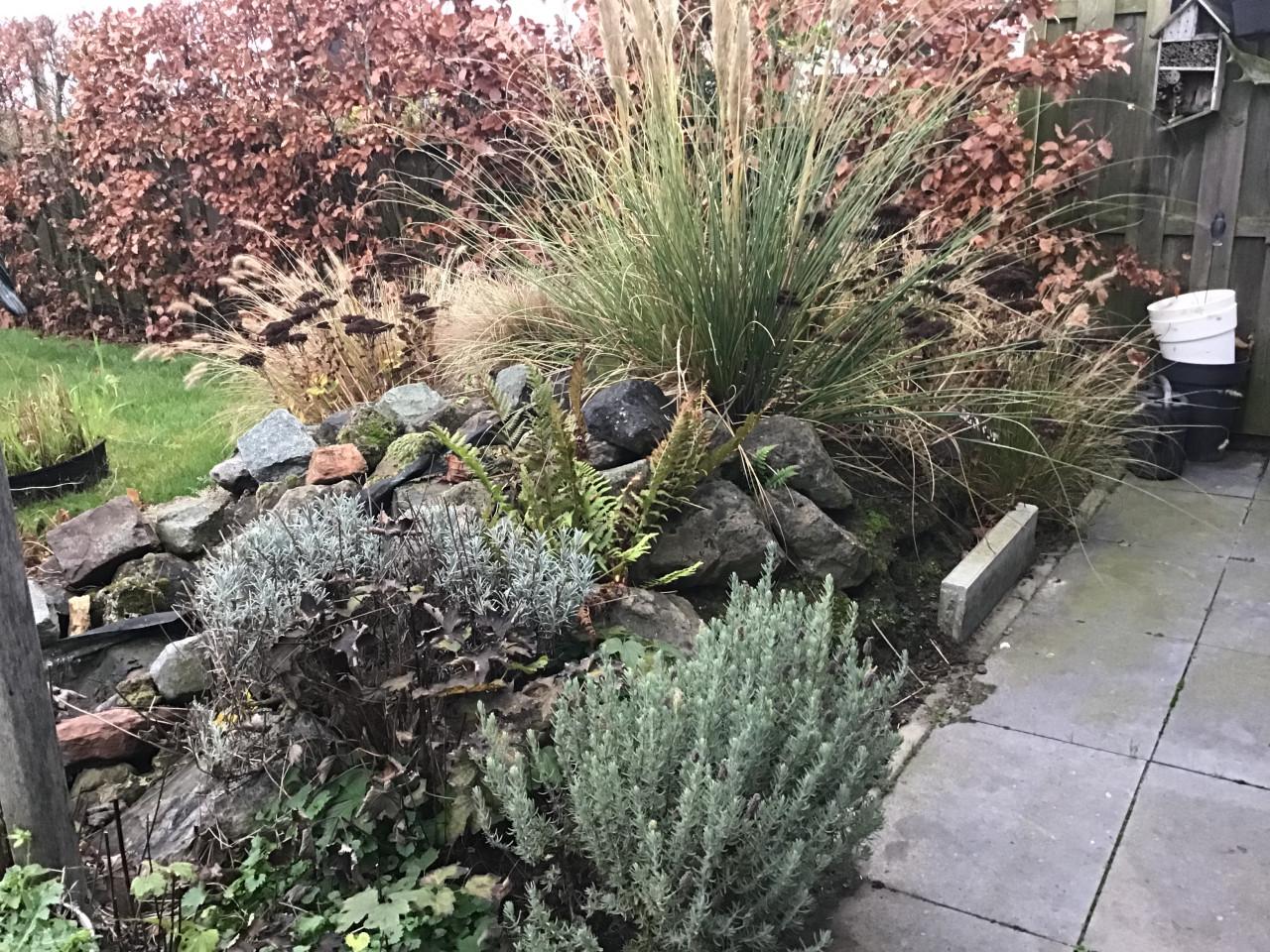 Vijverstenen, vijverplanten , kruik, etc