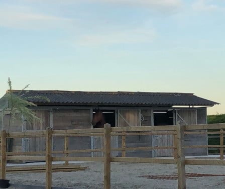 Topkwaliteit paardenstal 3x3 – Verplaatsbaar & direct inzetbaar