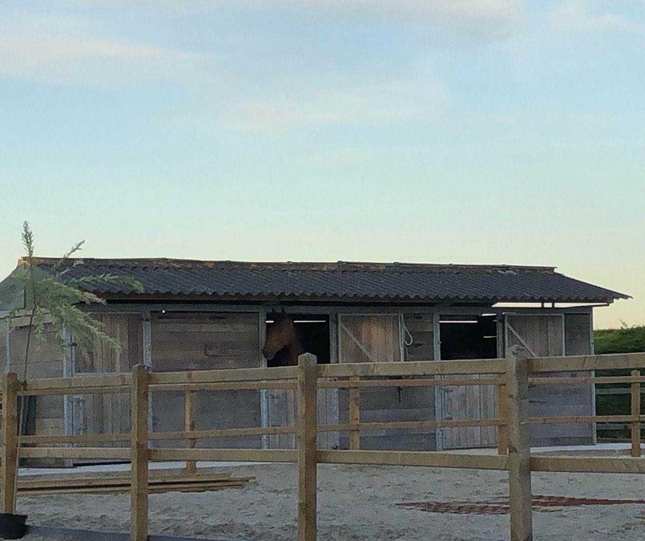 Topkwaliteit paardenstal 3x3 – Verplaatsbaar & direct inzetbaar