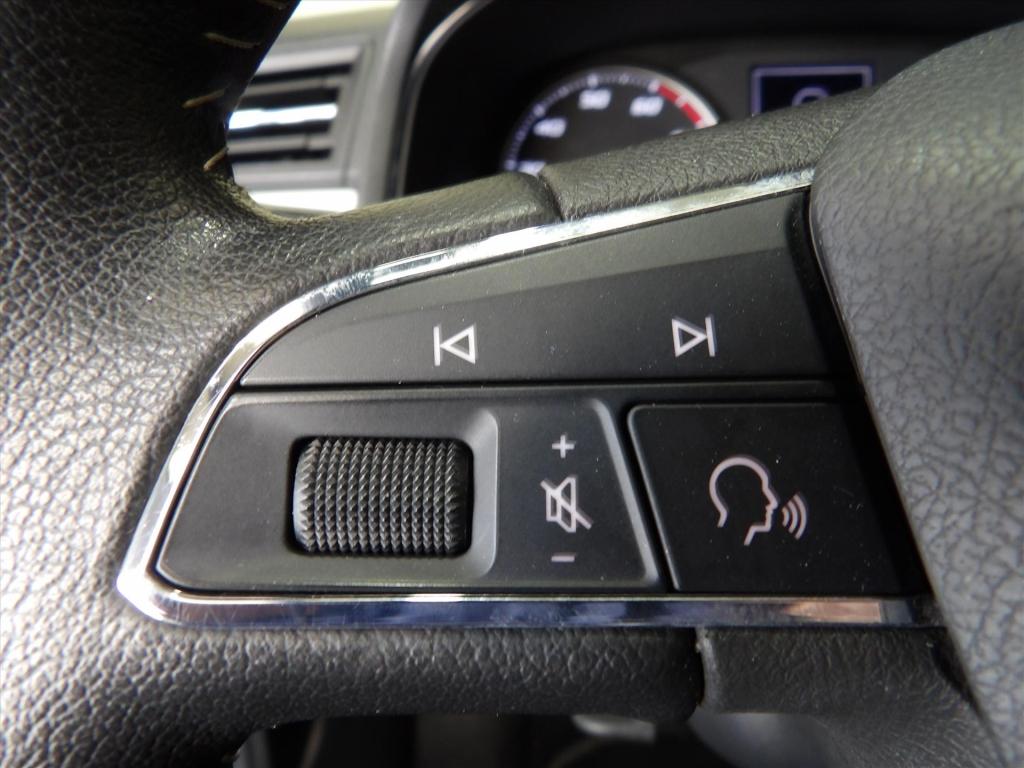 Seat Arona 1.0 tsi 115pk dsg-7 xcellence launch edition
