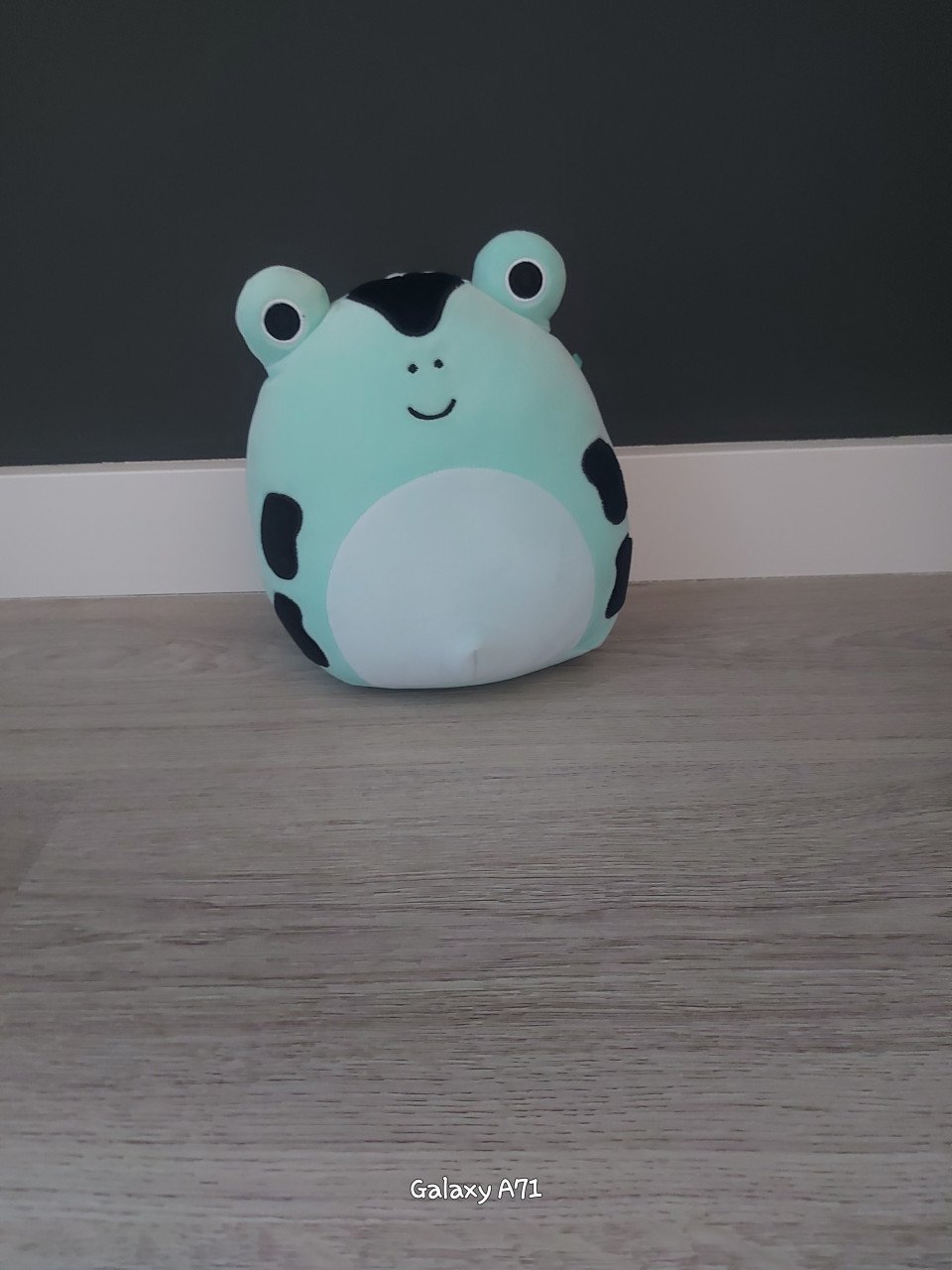 Squishmallows medium size