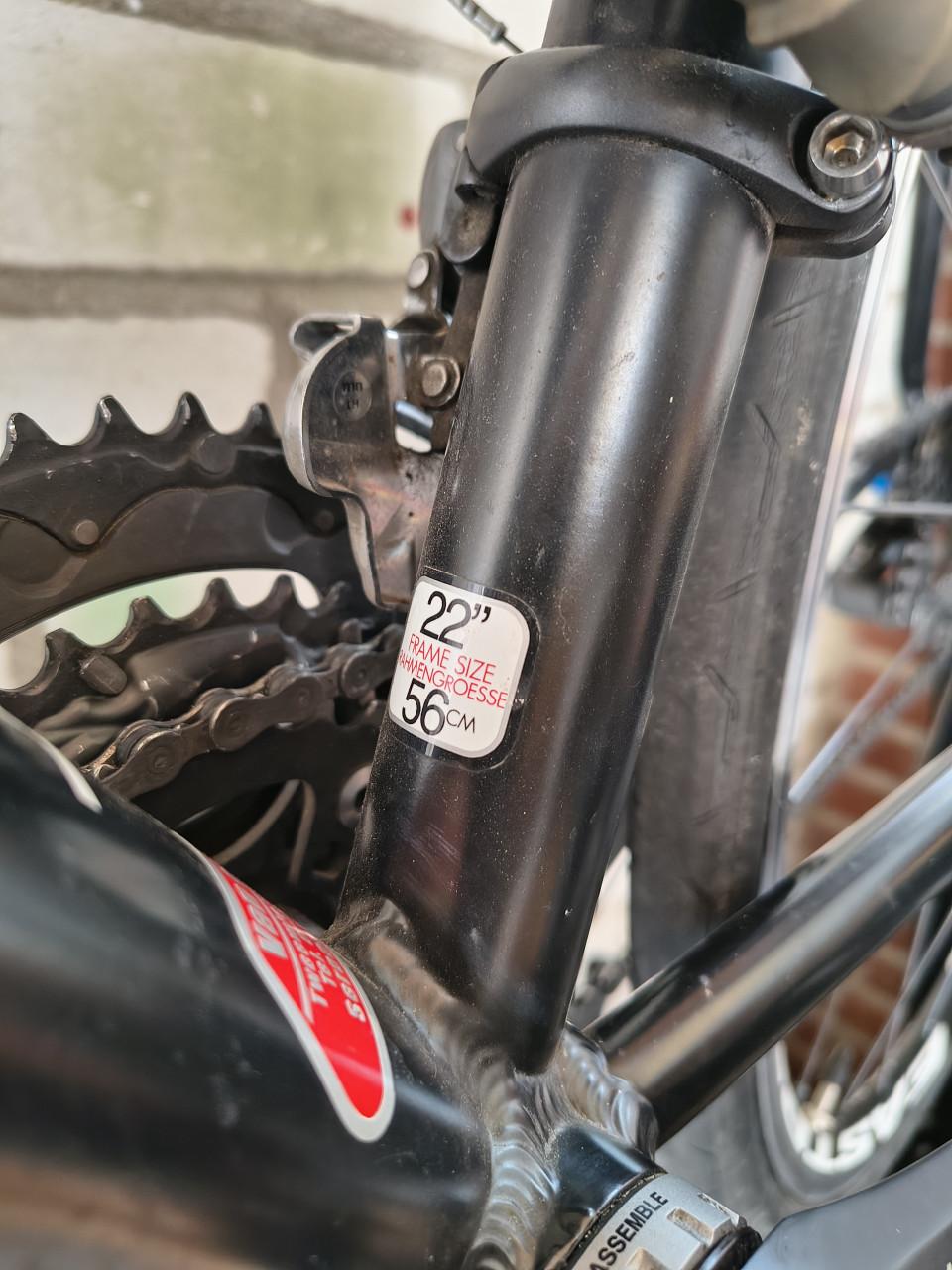STEVENS Ghisallo 56 cm