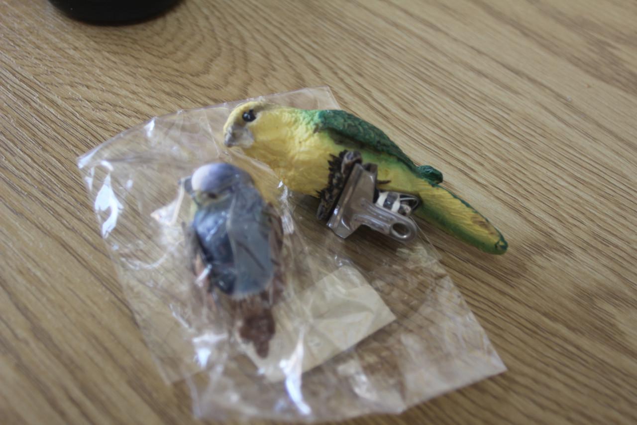 2 vogeltjes om mee te knutselen