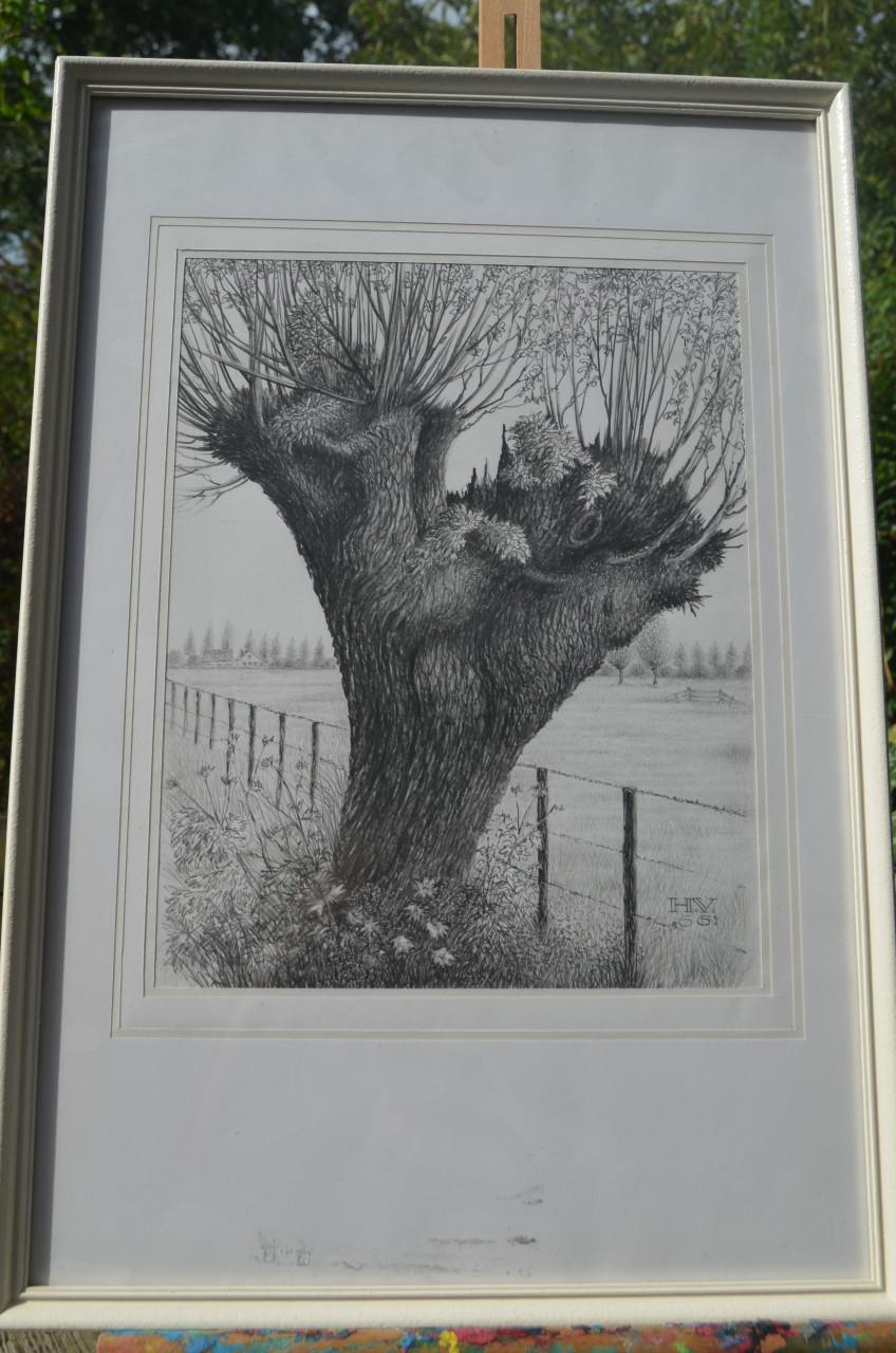 9 x Hendrik Voskuijl (1893 - 1980) potloodtek. bomen (2) o.a. Ommen