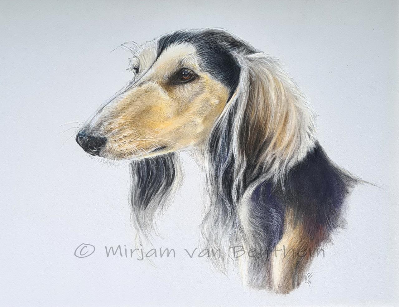 Portret van uw huisdier