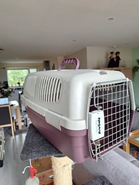 Kattenreismand