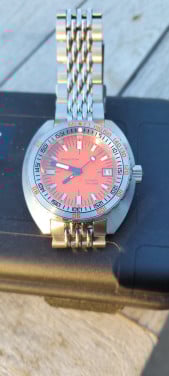 Seestern sub 300t