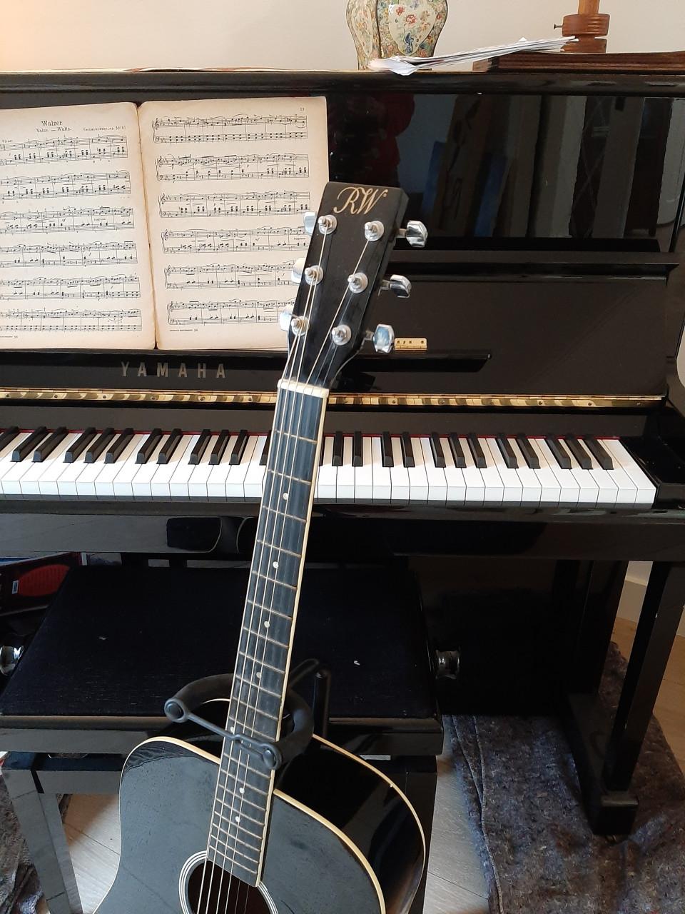 Gitaar met standaard en hoes