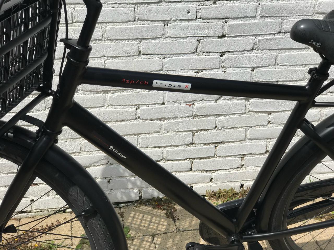 TEKOOP JONGENS/HEREN FIEST Z.G.N