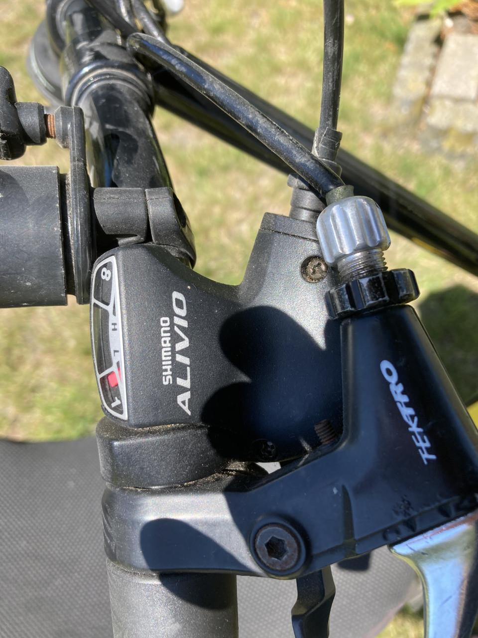 Optima Lynx ligfiets