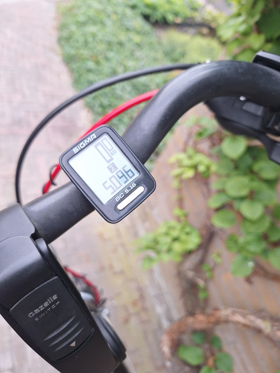 Gazelle Herenfiets Chamonix Trekking T27