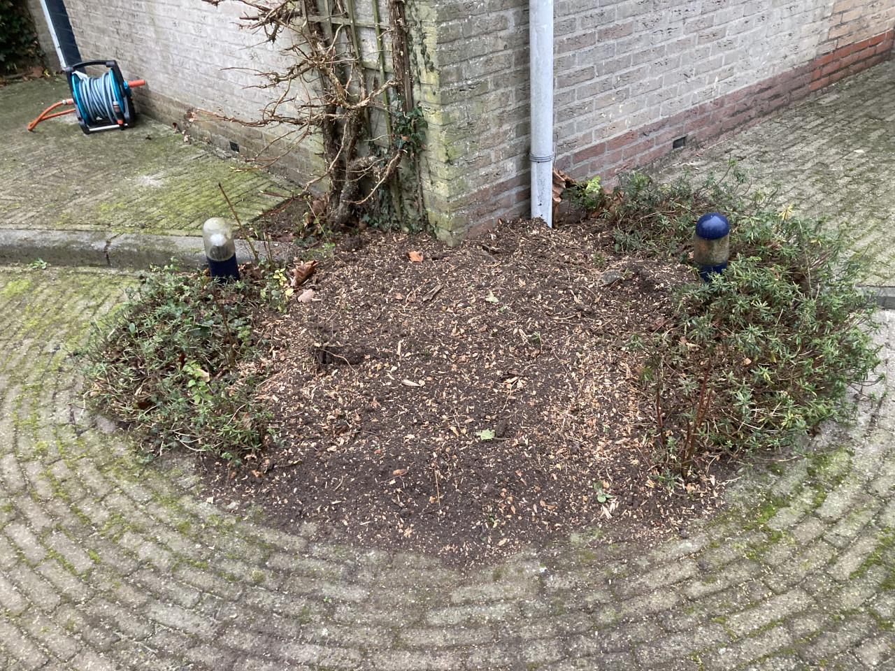 Stronken/stobben frezen in uw thuin?