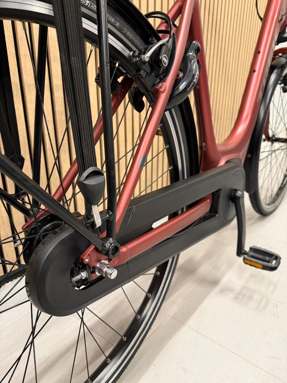 Trek LM2+ Bosch Active Line Plus 55CM 400Wh 7973KM