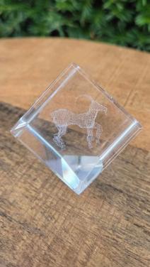 Decoratie met een 3D lasergeëtste afbeelding van een Steenbok.
