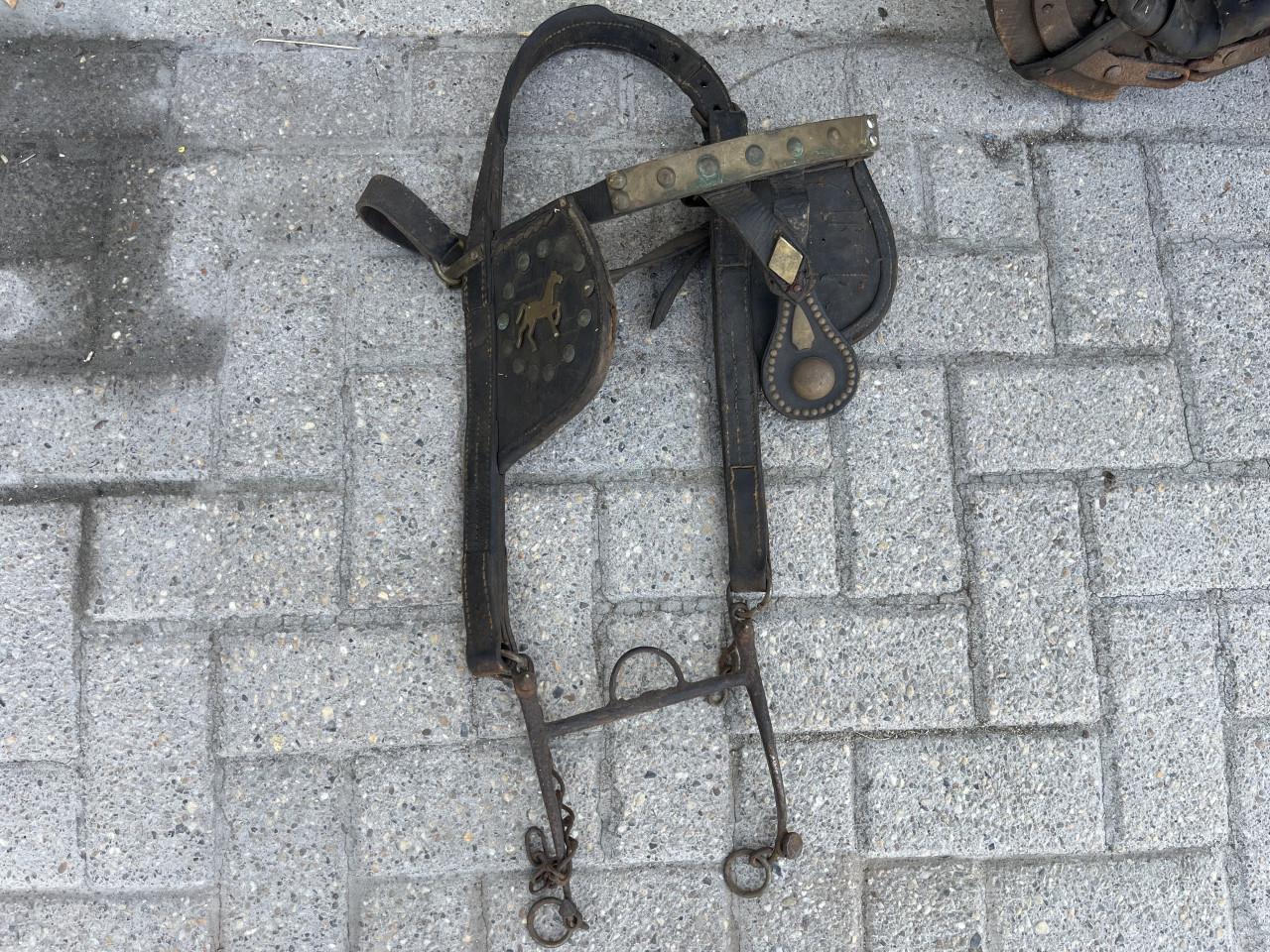 Paardengareel met hoofdstel met bit