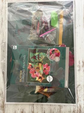 Gratis voor de eerste Diamond Painting