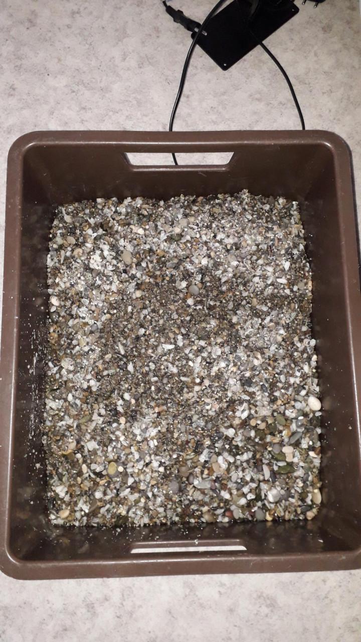 Bak met veel toebehoren, schildpadden bak