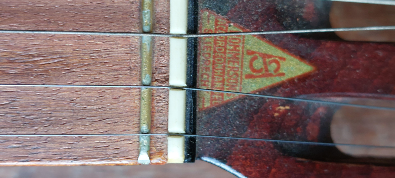 Vintage Tenor Banjo
