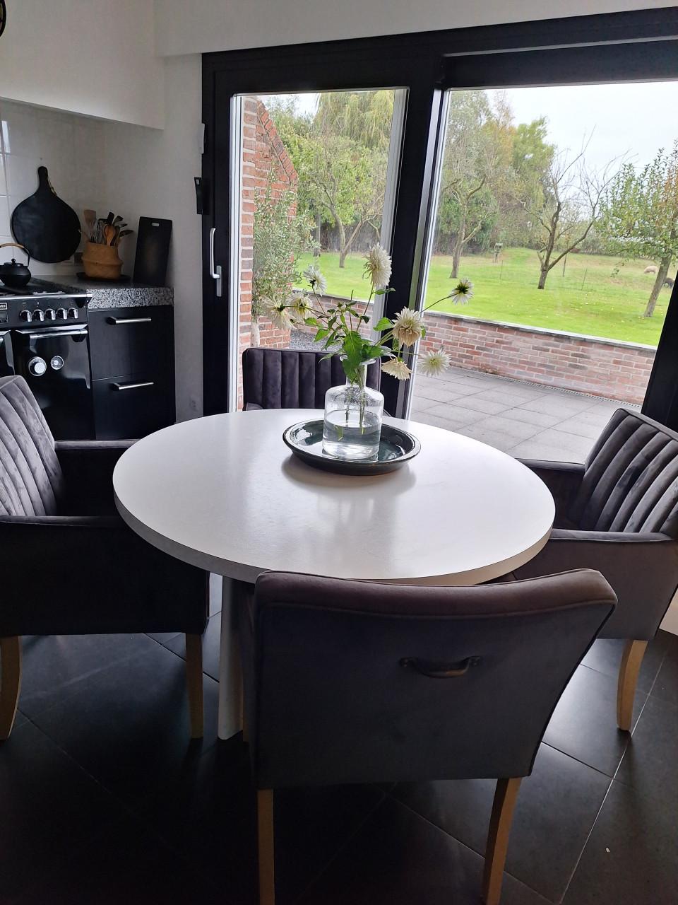 Landelijke Eetkamerstoelen grijs/velvet