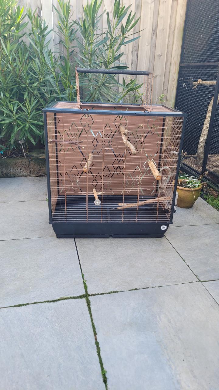 Hele jonge kakariki met kooi