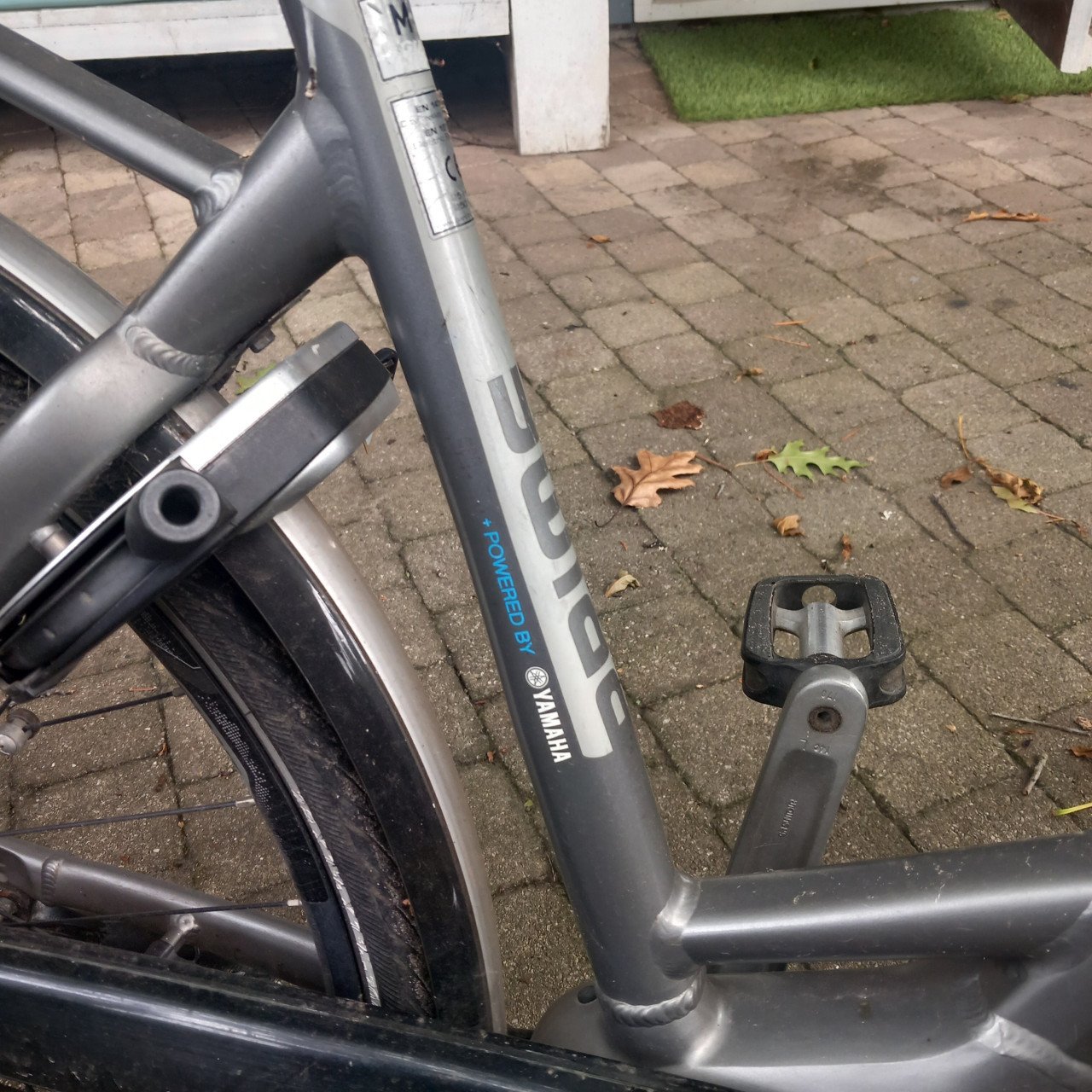 Elektrische damesfiets Giant