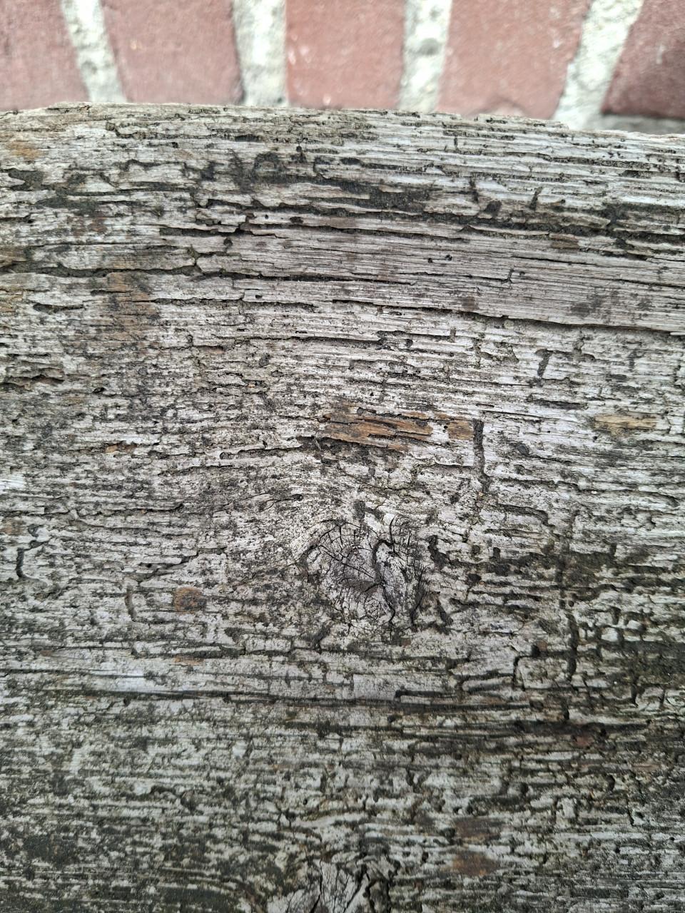 Oud hout