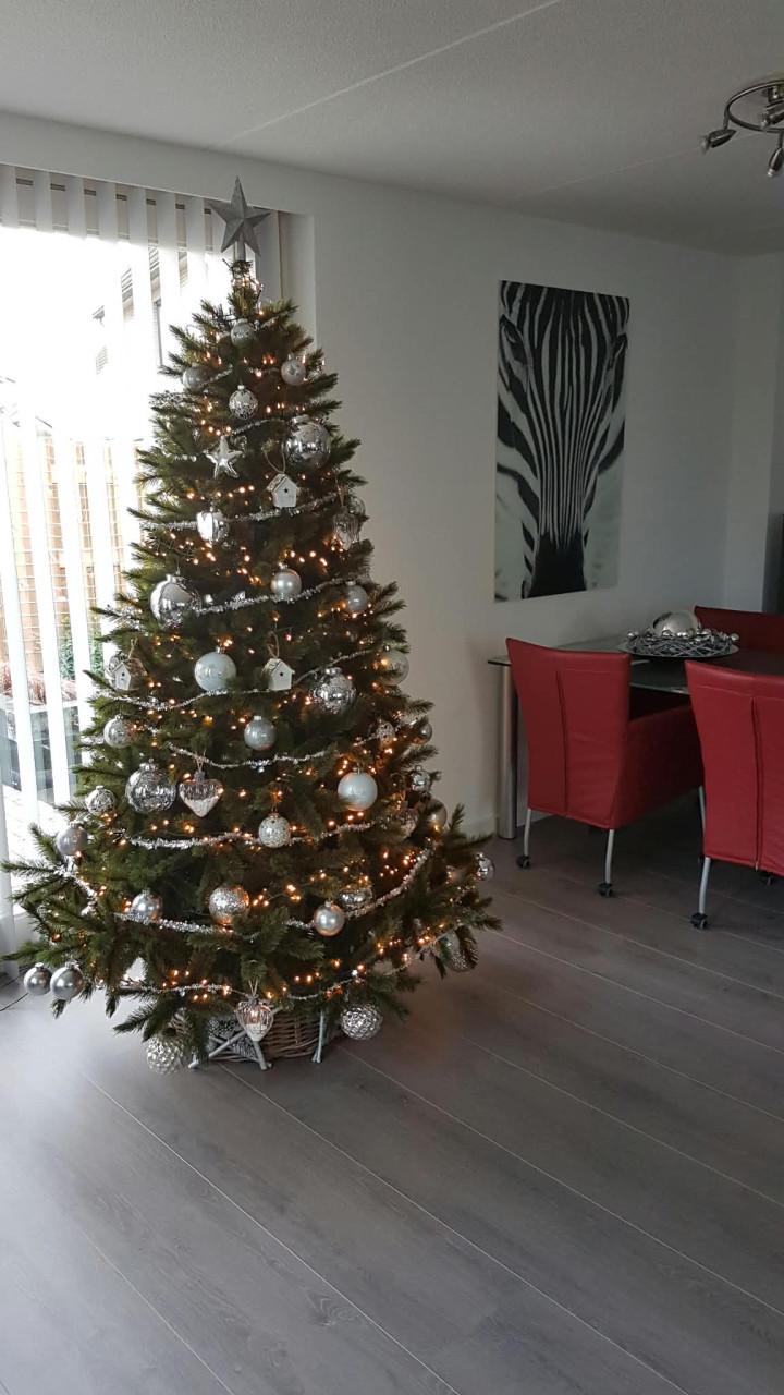 Prachtige Kunst Kerstboom - Compleet