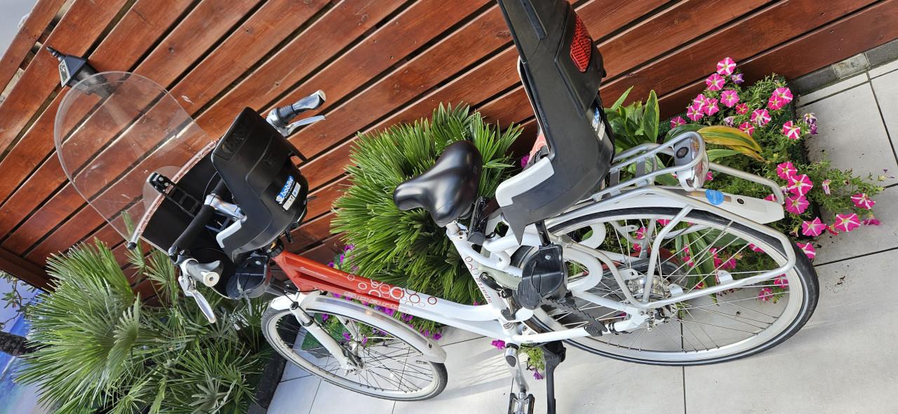Sparta Amazone Dynamic Moederfiets