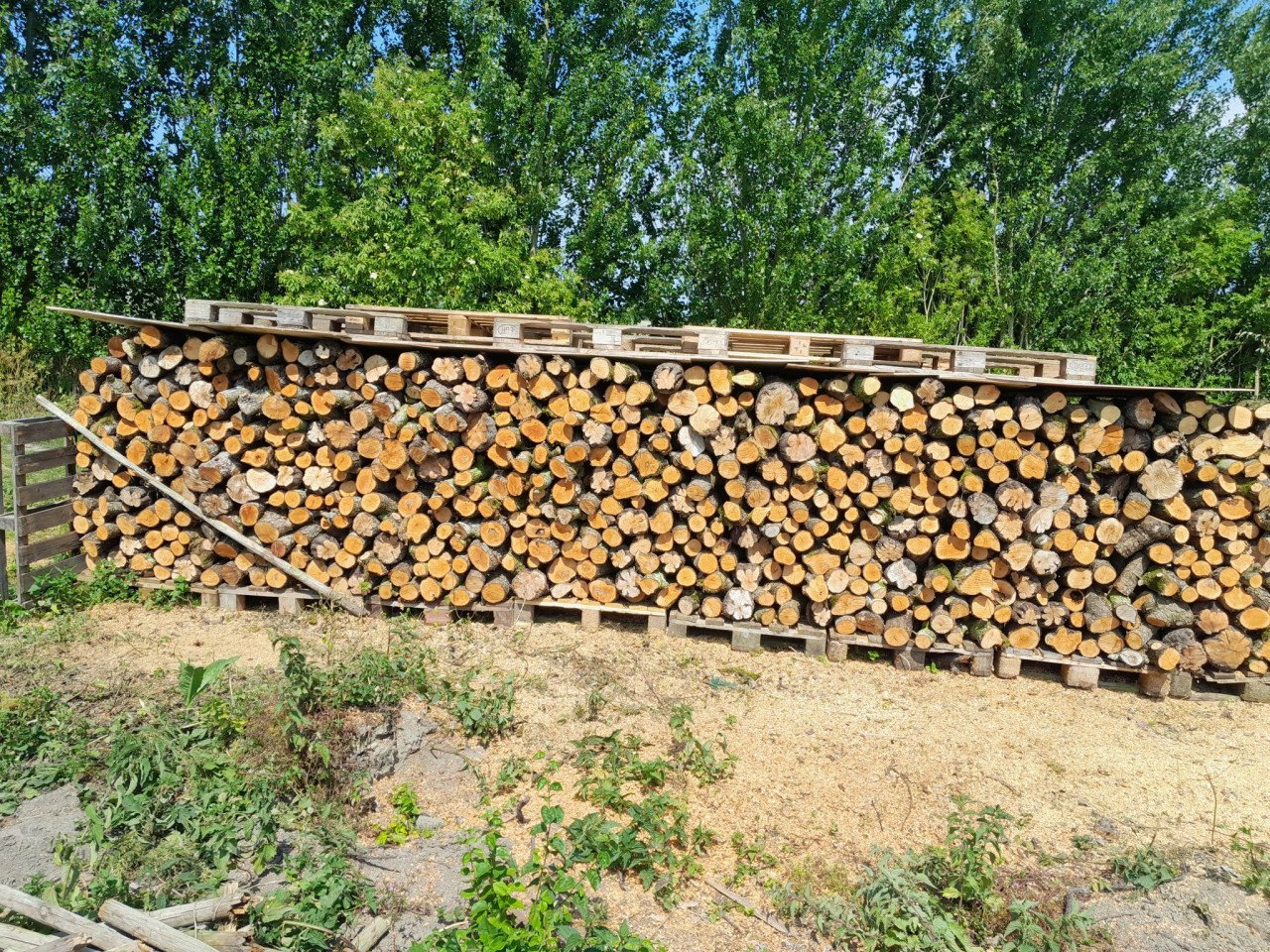 Perenhout. Om zelf te klieven.