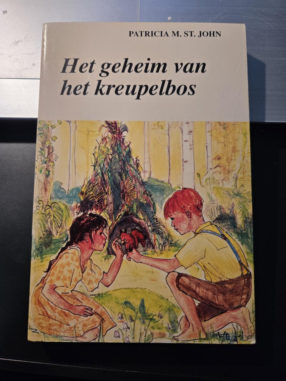 Boek: het geheim van het kreupelbos 1992
