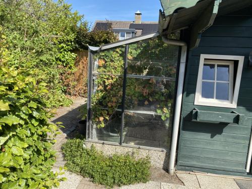 Broeikasje, in goede staat, kan tegen een muur of schuurtje staan.