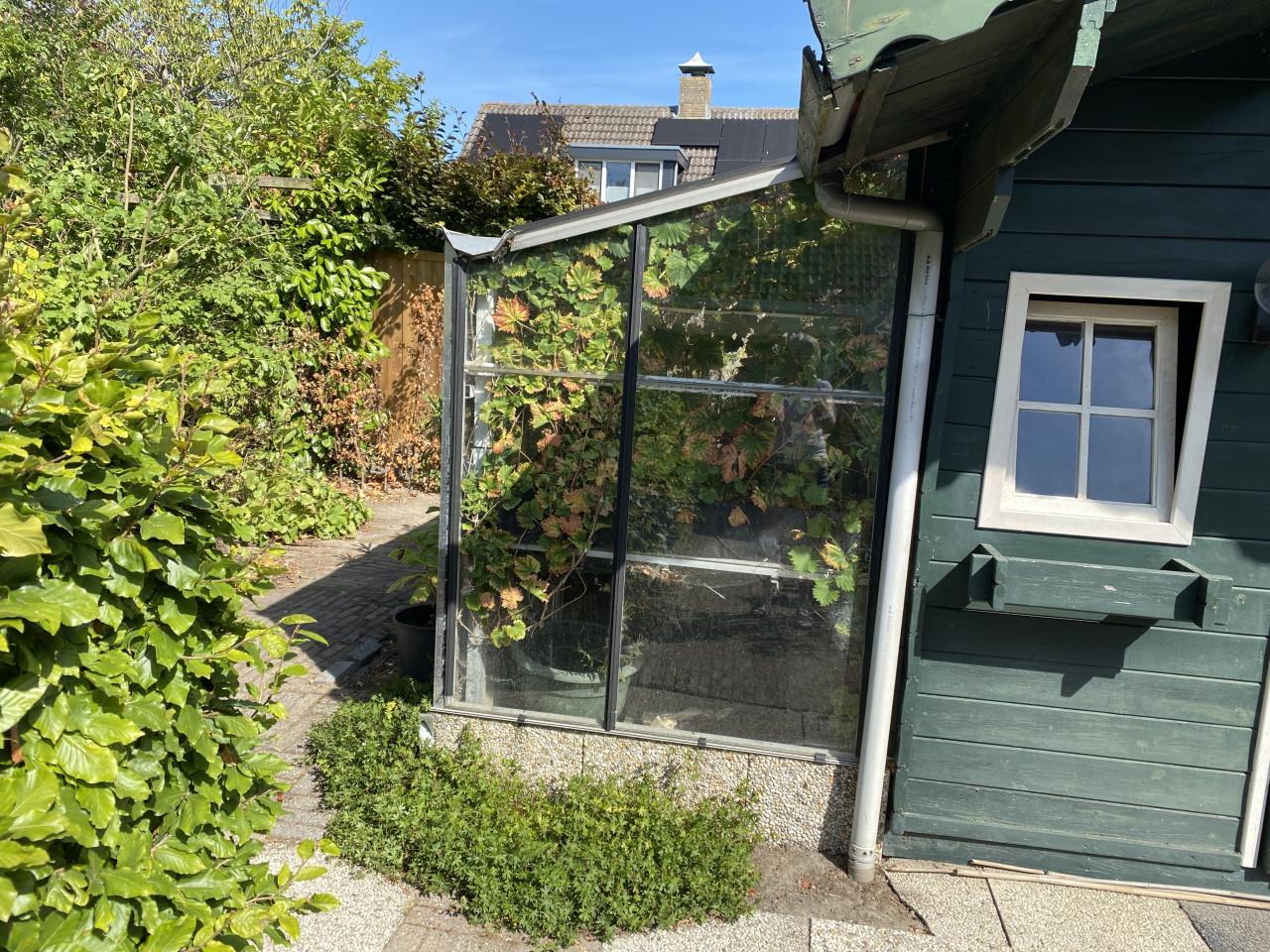 Broeikasje, in goede staat, kan tegen een muur of schuurtje staan.