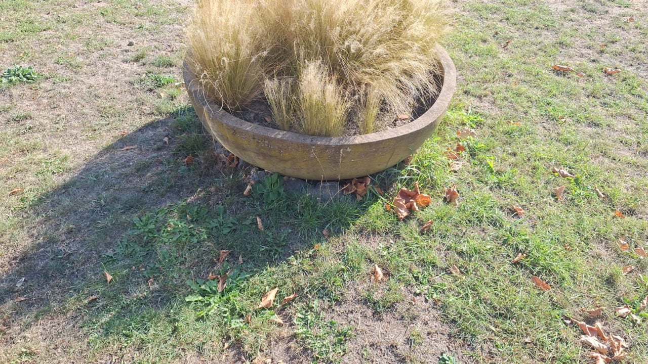Plantenbak/schaal