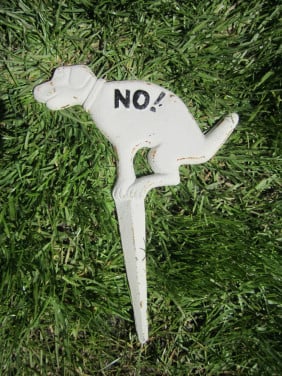 Gietijzeren Hond