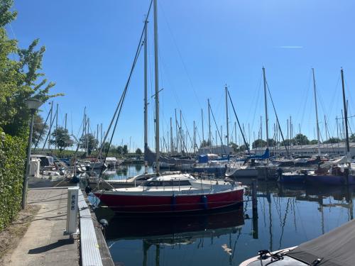 Kajuitzeilboot te koop –  Marcon Strijker 22 ft