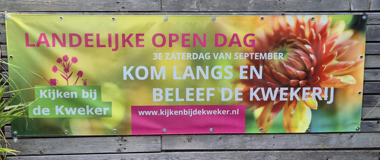 Kijken bij de kweker Joyplant Ritthem