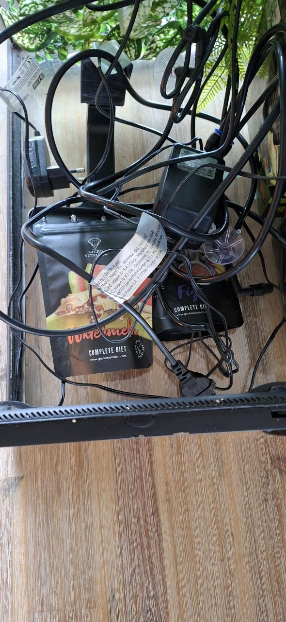 Terrarium inclusief toebehoren