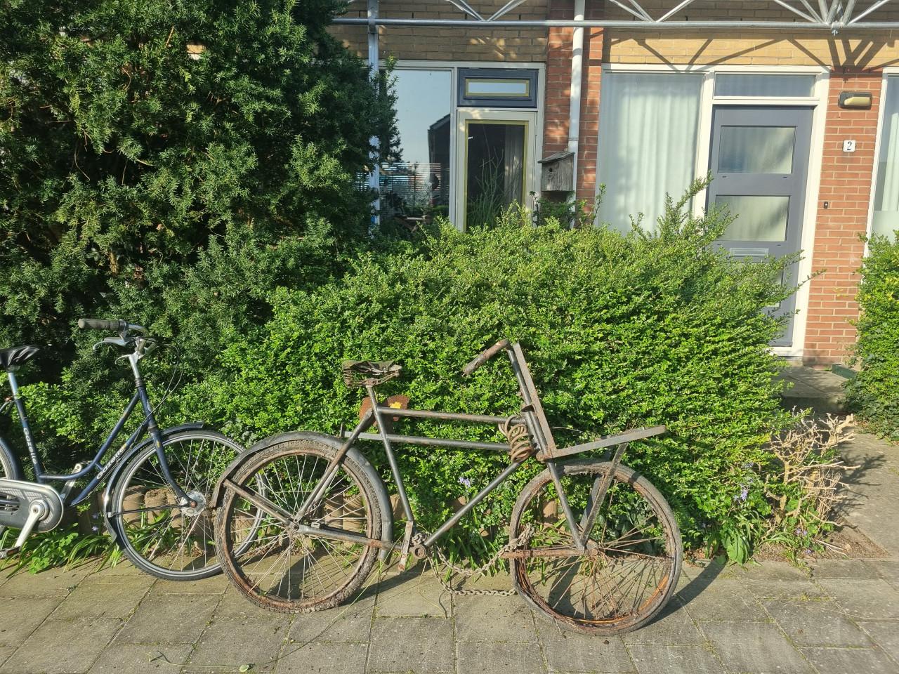 3 x Super oude hoge OPAfiets ** Kruisframe ** RODEX Holland 70cm & GAZELLE