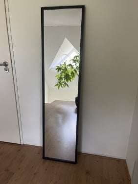 Spiegel 160x40 cm